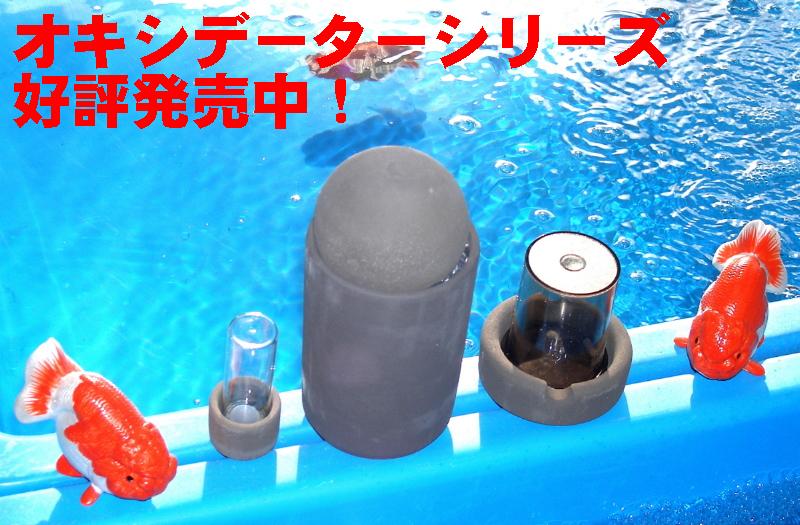 写真の情報が全てとなりますオキシデーター 大 ③と⑤ 二つセット - 魚